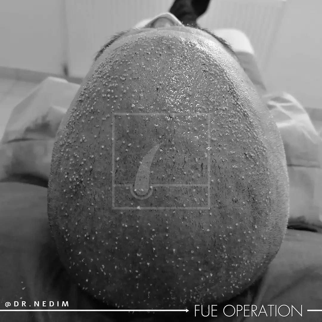 Snapinsta.app_431090844_1466810347519370_3569836300695093494_n_1080(1)