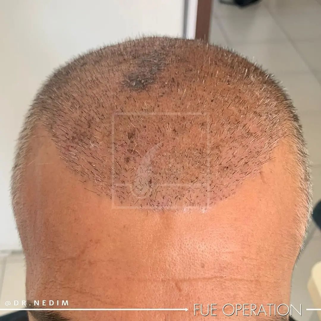 Snapinsta.app_431153659_1145224873300875_3457165997067216357_n_1080