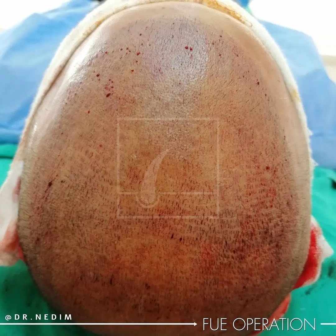 Snapinsta.app_431173807_931066775281137_6111162535491401364_n_1080